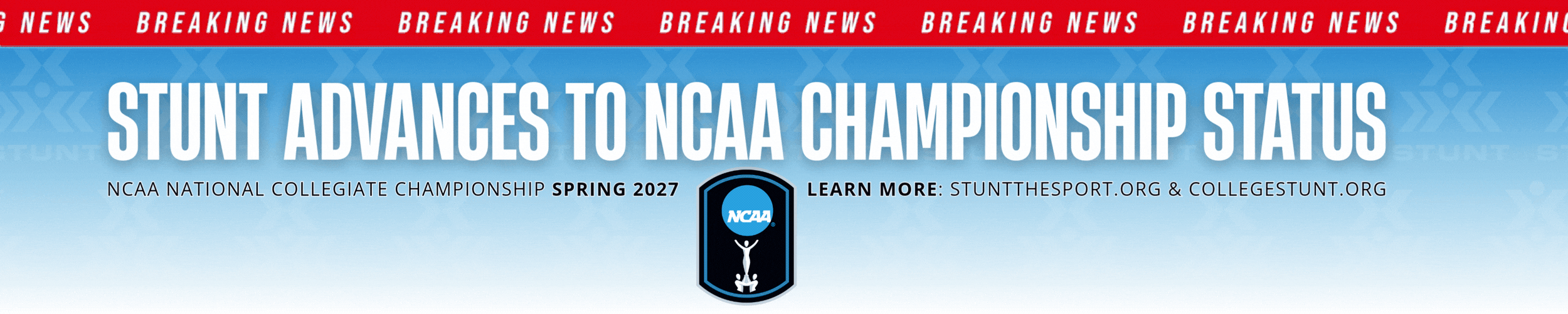 New Championship Banner